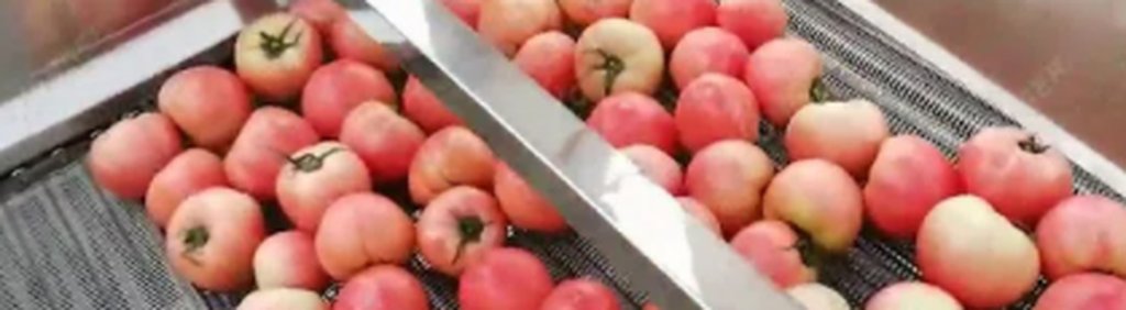 mesh belt application cleaning