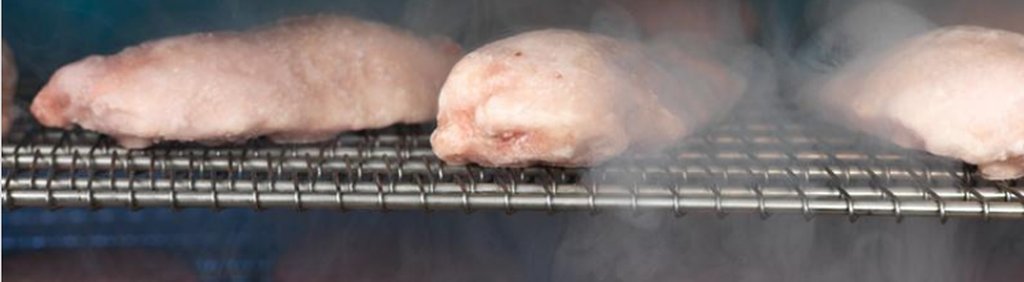 mesh belt application frozen