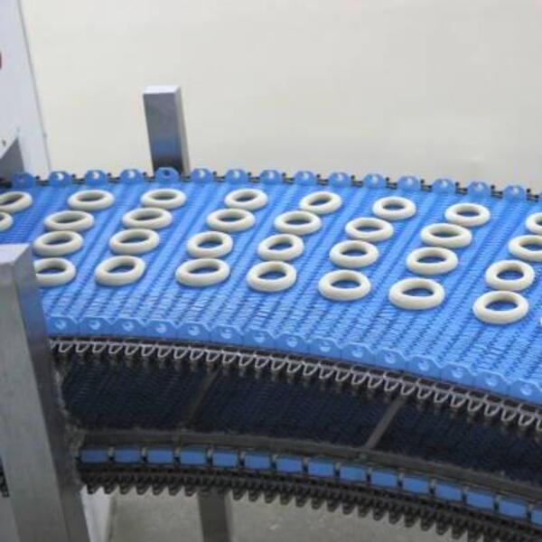 conveyor belt side drive spiral belt (2)