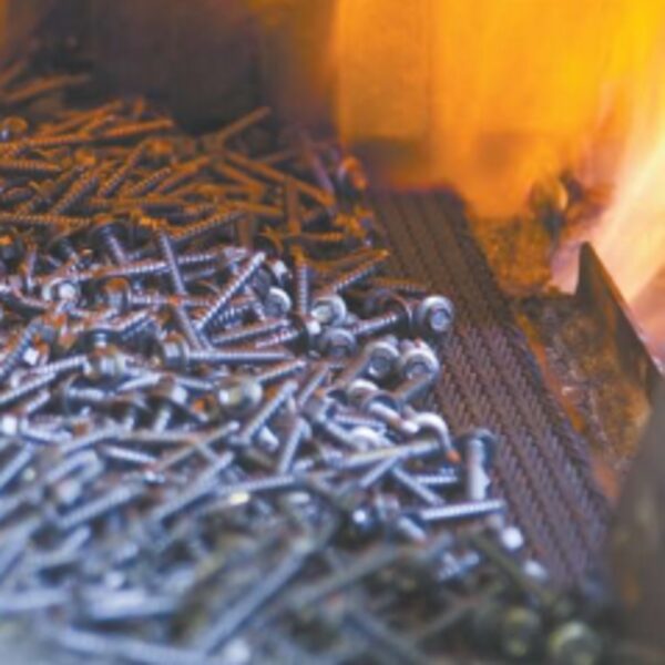 conveyor belt z type ladder belt 1 (6)