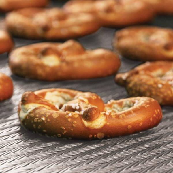 conveyor belt z type ladder belt 1 (7)