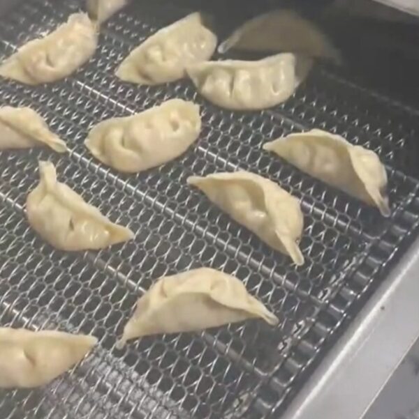 wire mesh belt chain belt (6)