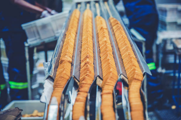 conveyor belt z47r biscuit belt 2 (2)