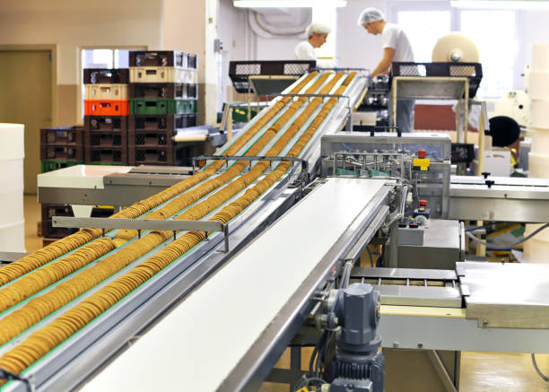 conveyor belt with biscuits in a food factory machinery equipment
