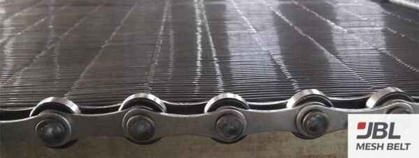 Eye link belt with a roller chain edge
