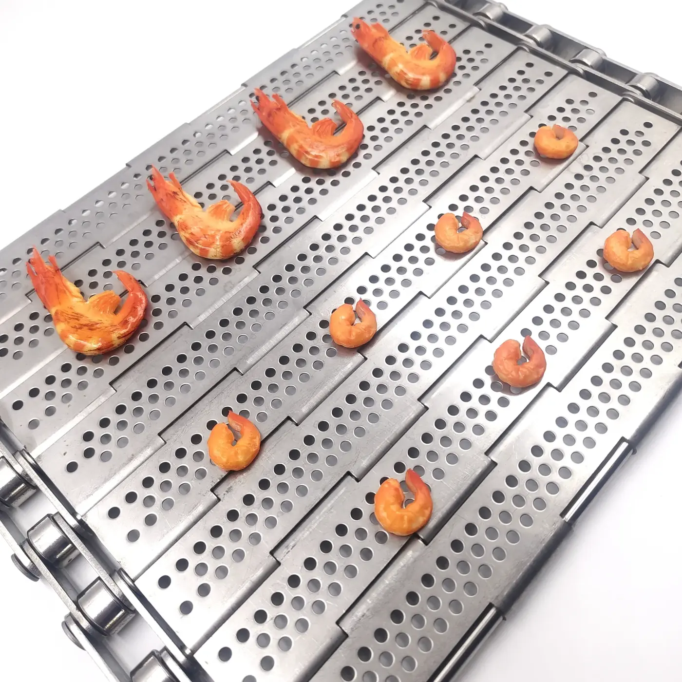 Shrimp on a plate link conveyor belt
